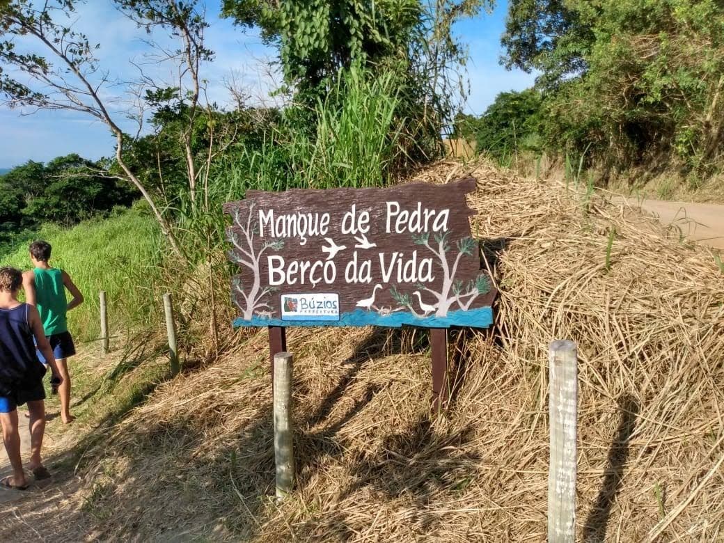Stone Mangrove Mangue de Pedra - Image 1