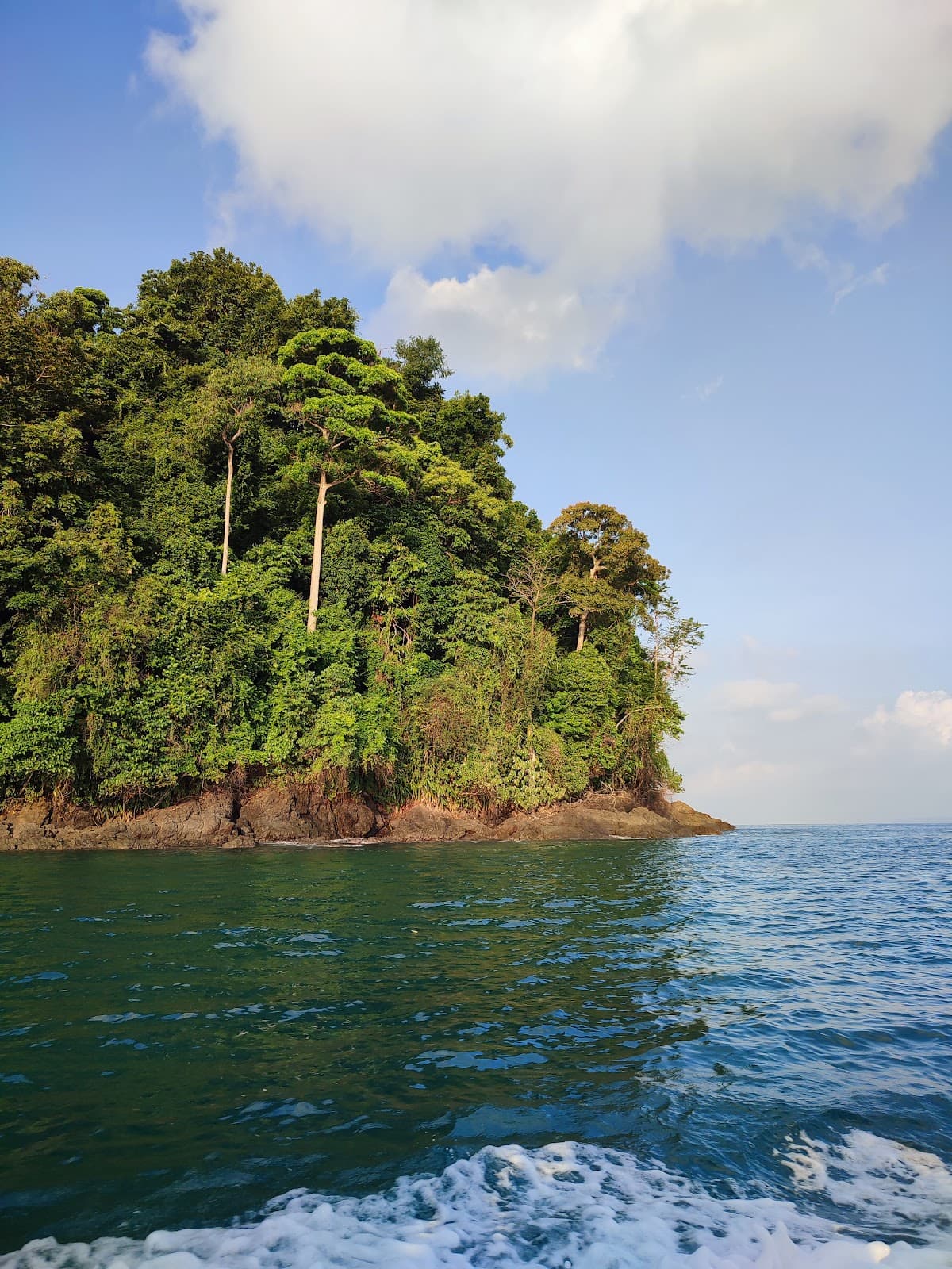 Campanario Biological Station - Image 1
