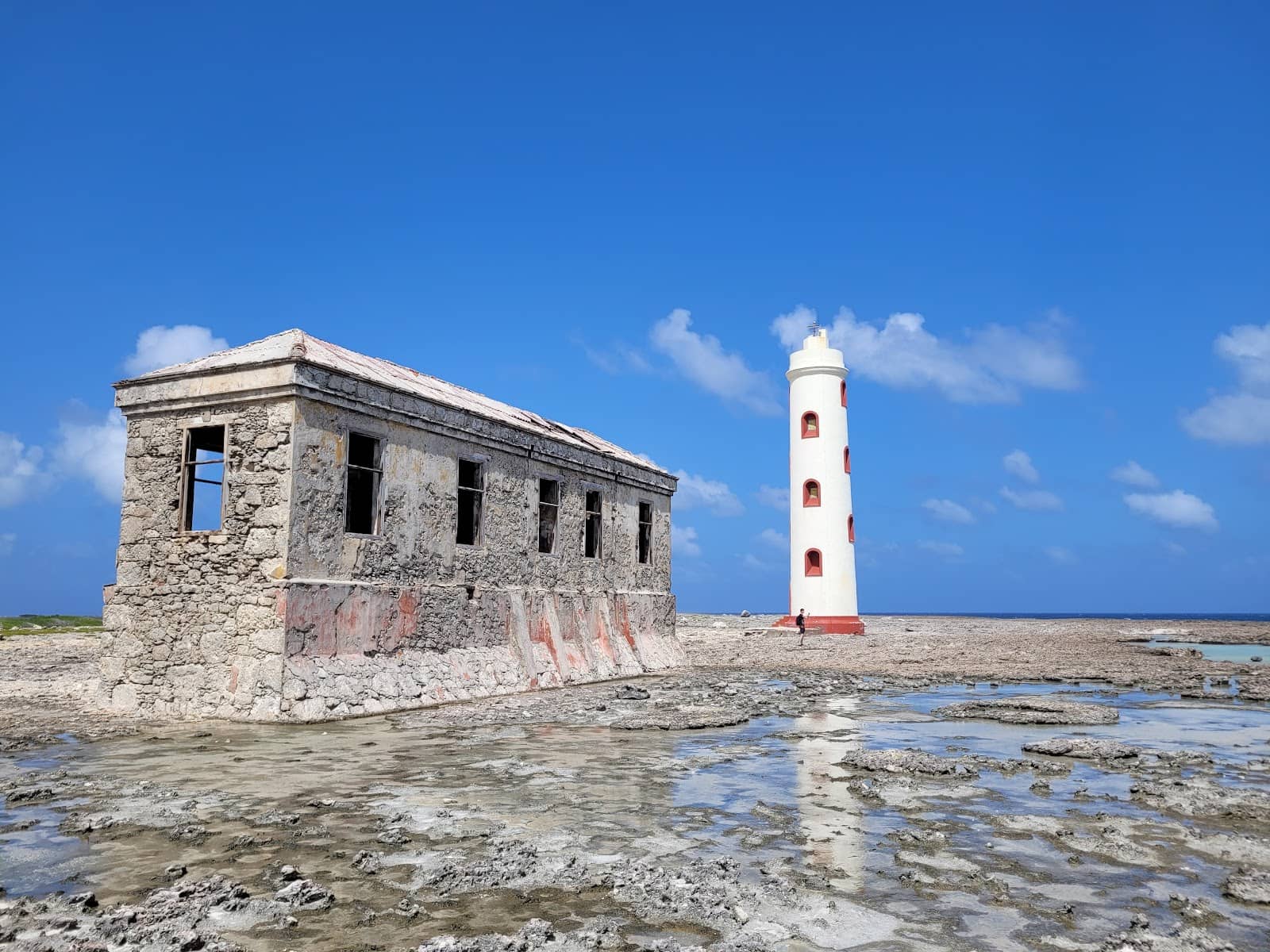 Rugged East Coast Views