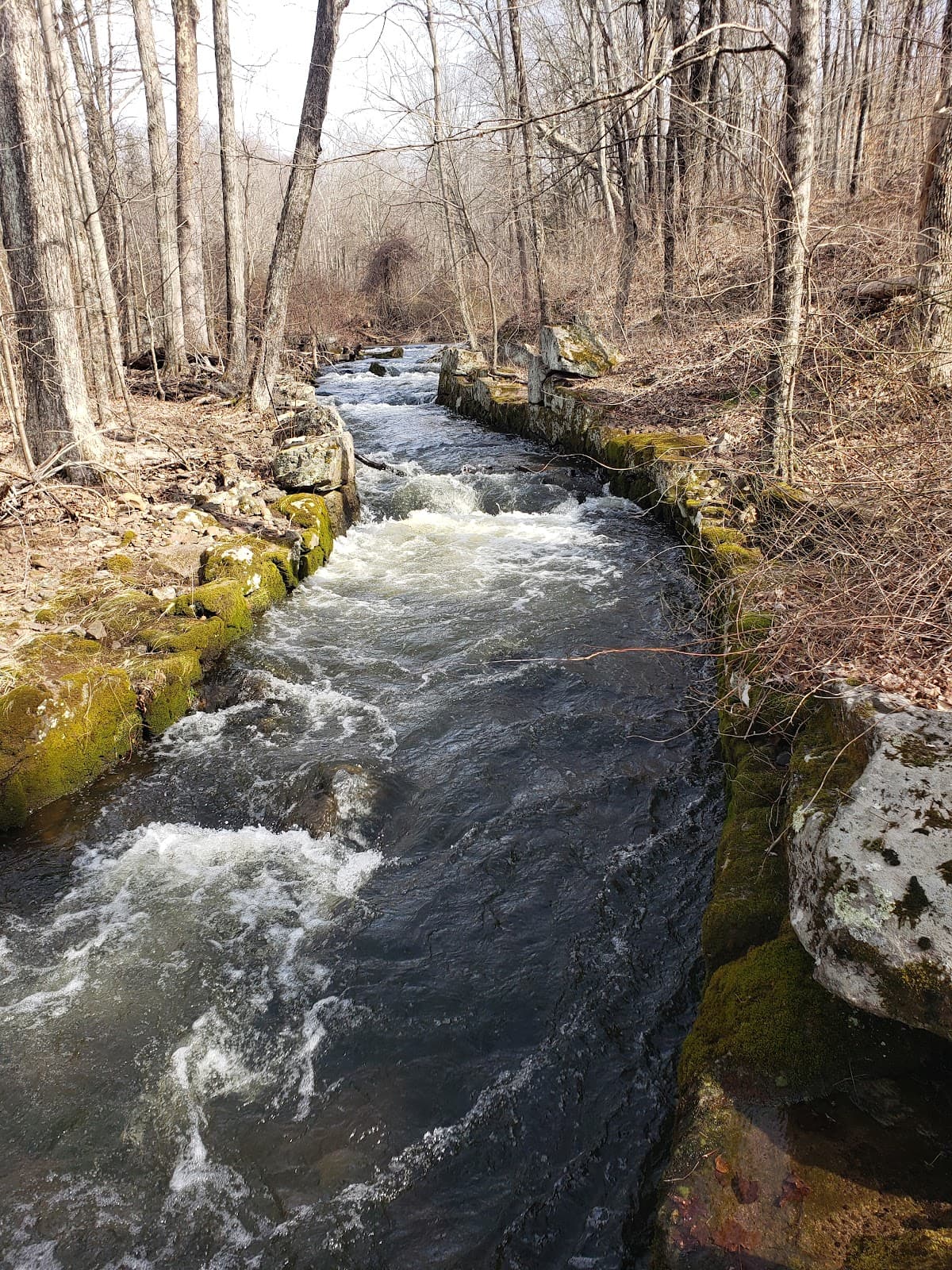 Tyler Mill Preserve - Image 1