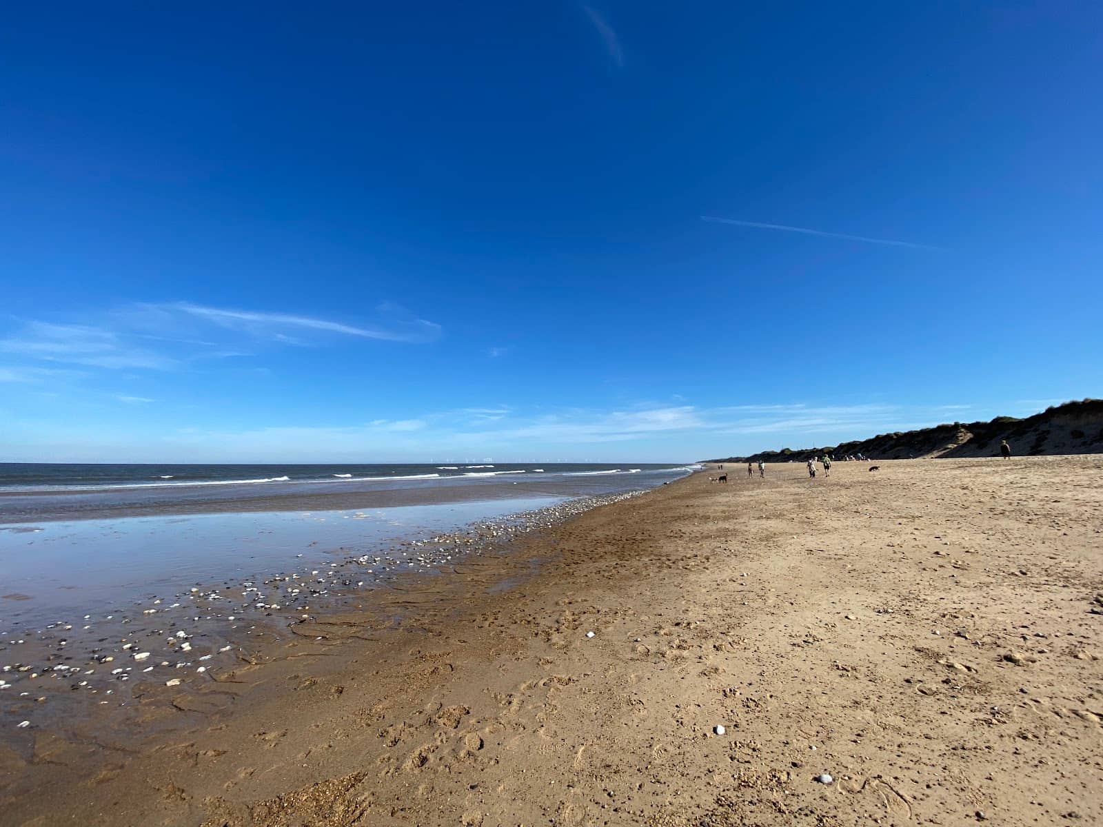 Unique Rondavel Cottages