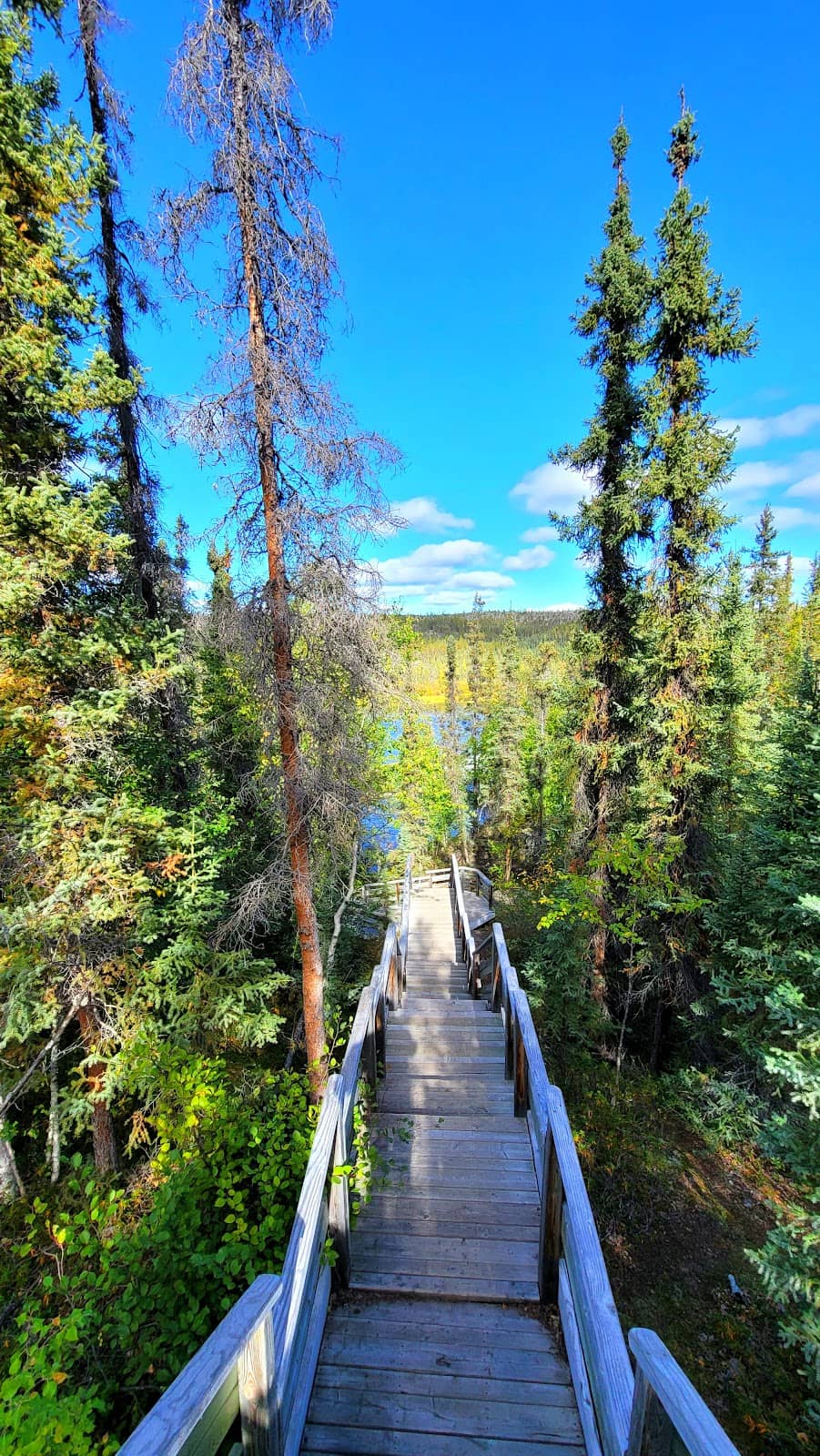 Vertical photo