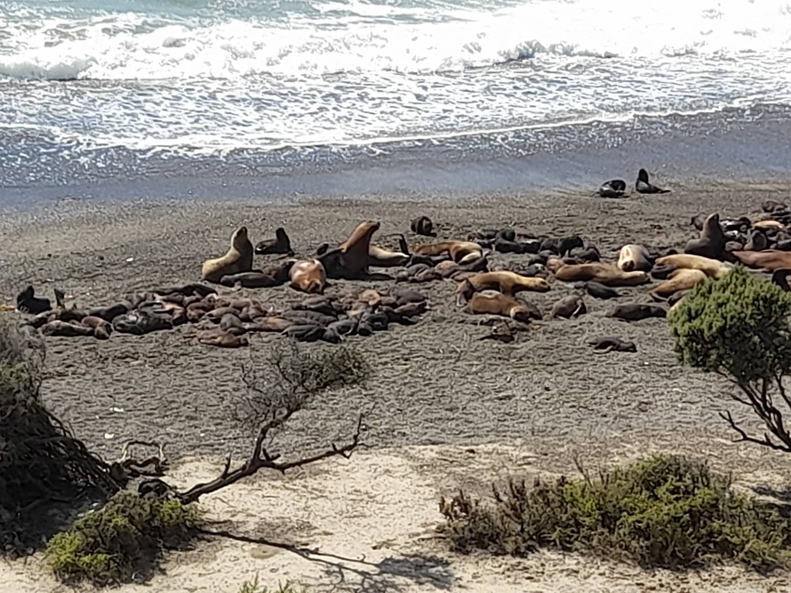 Scenic Coastal Views