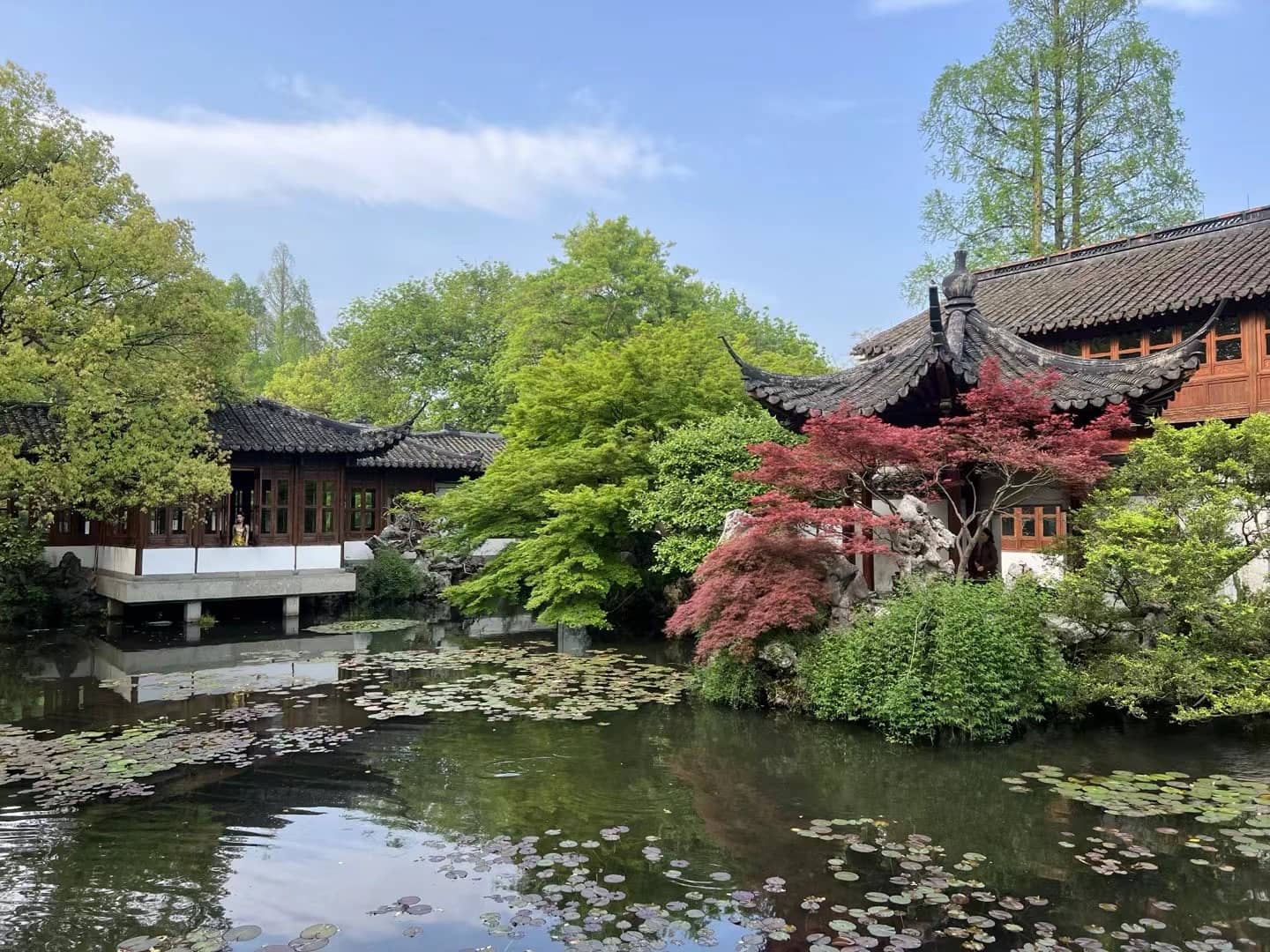 Mountain Backdrop Views