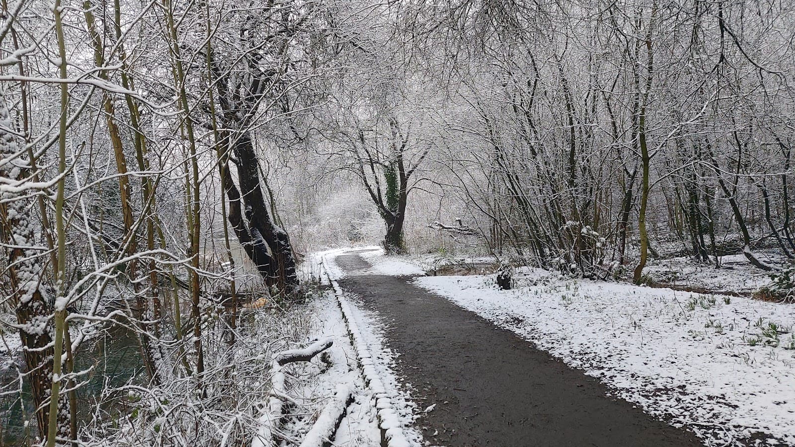 Heaton Mersey Common - Image 1