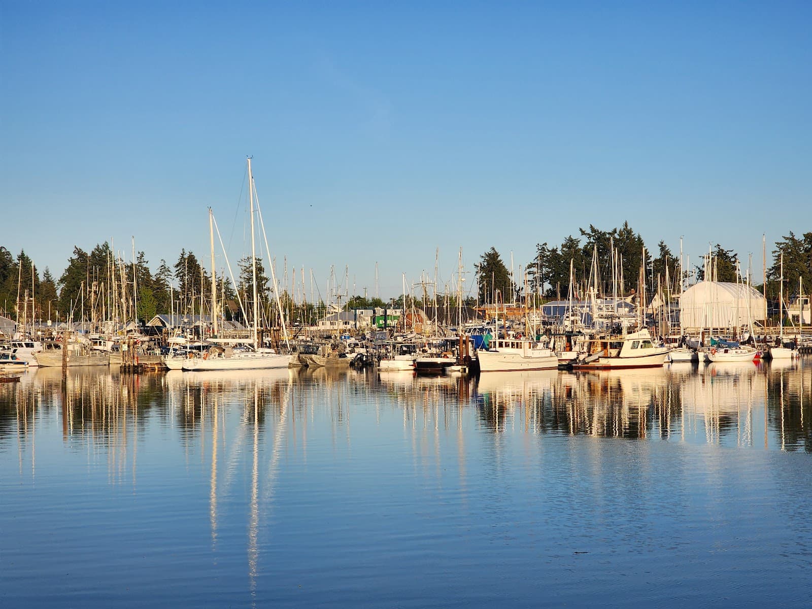 Tsehum Harbour British Columbia - Image 1