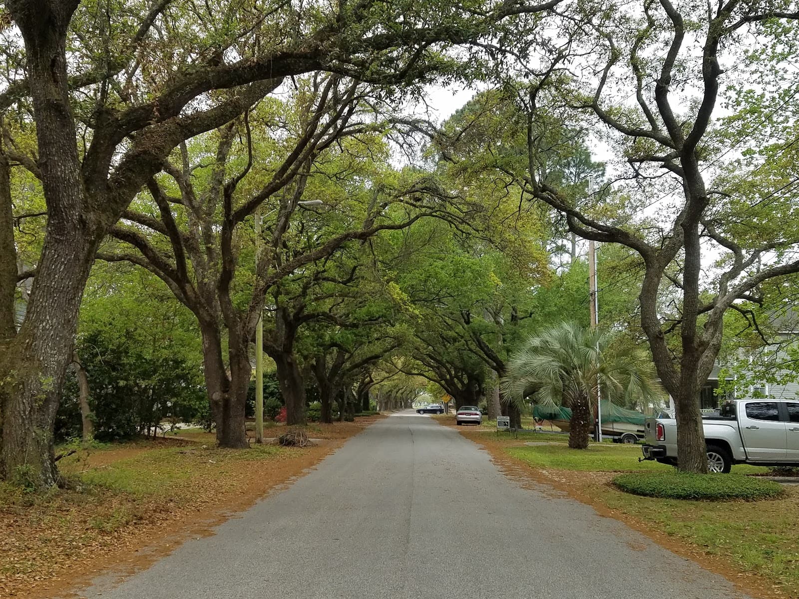 East Bay Park - Image 1