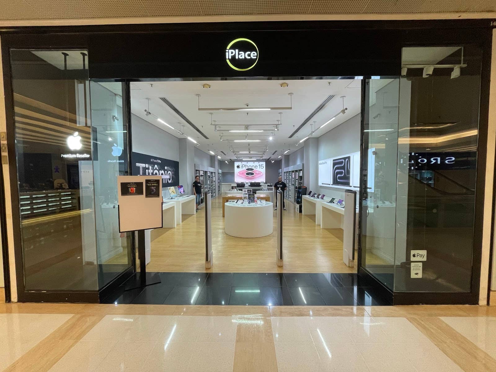 Local Music and Arts Scene