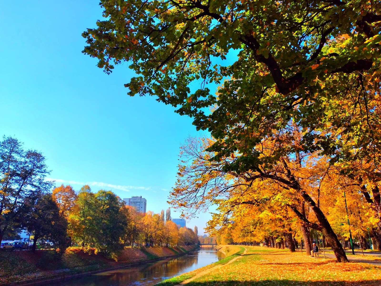 Vilsonovo Setaliste - Image 1