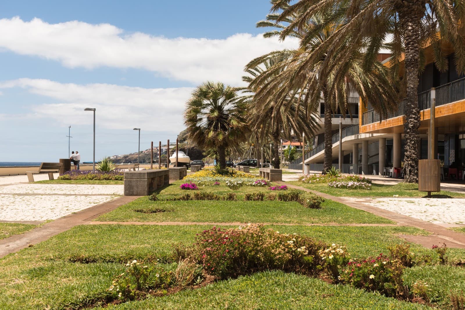 Santa Cruz - Image 1