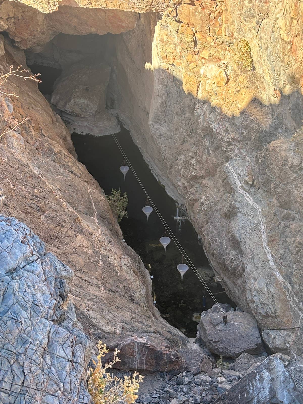Ash Meadows Springs Preserve