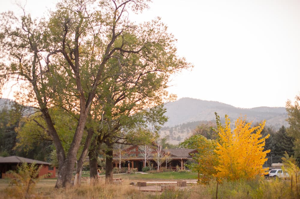 Sylvan Dale Guest Ranch - Image 1