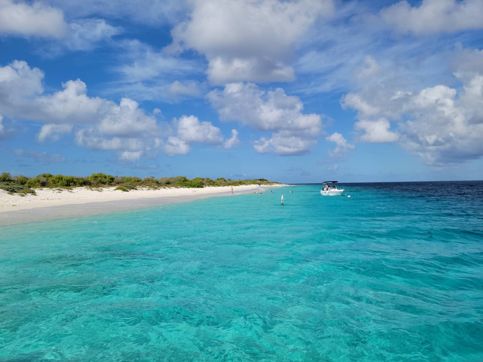 Pufferfish Encounters