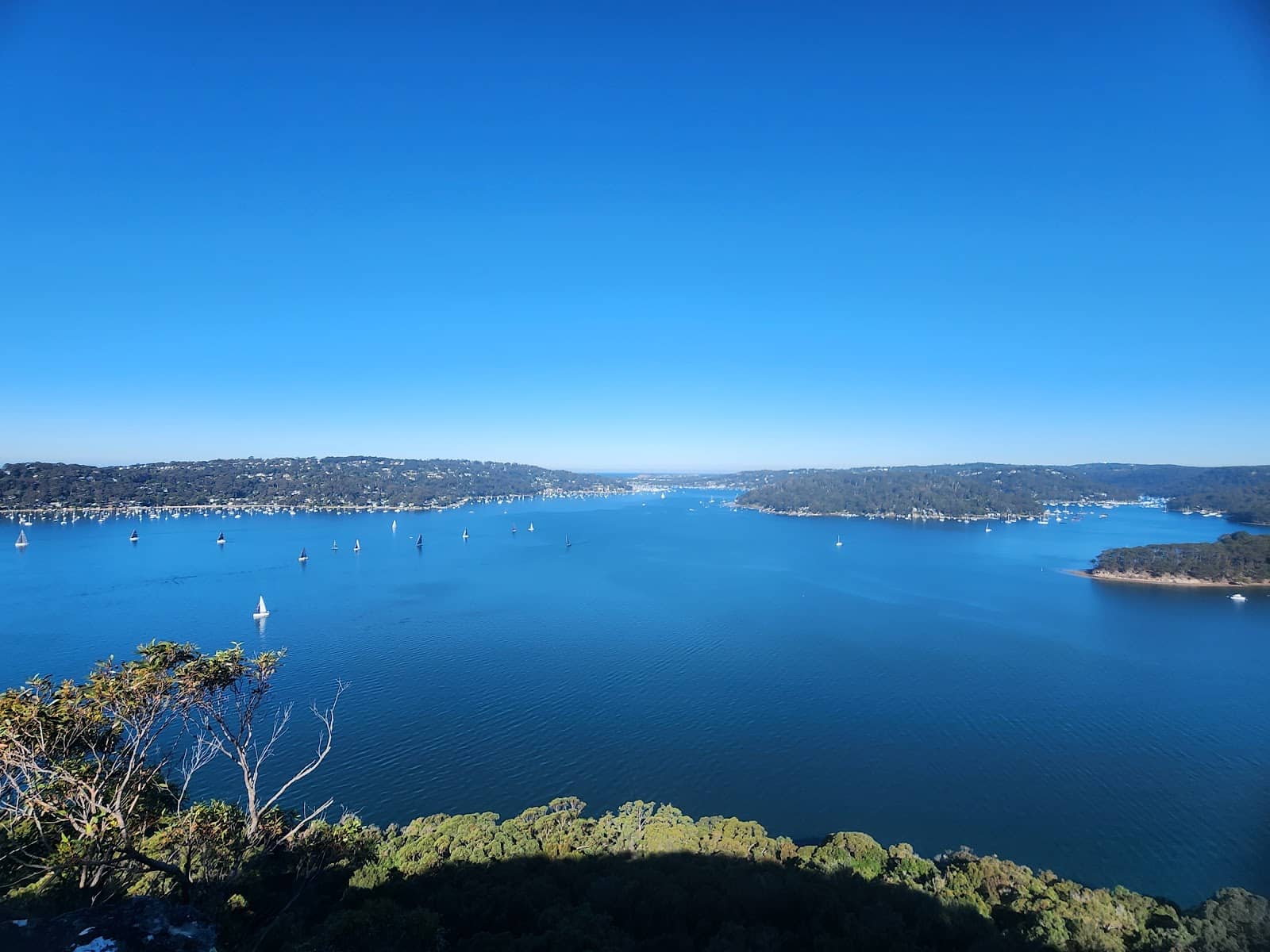 Tranquil National Park Setting