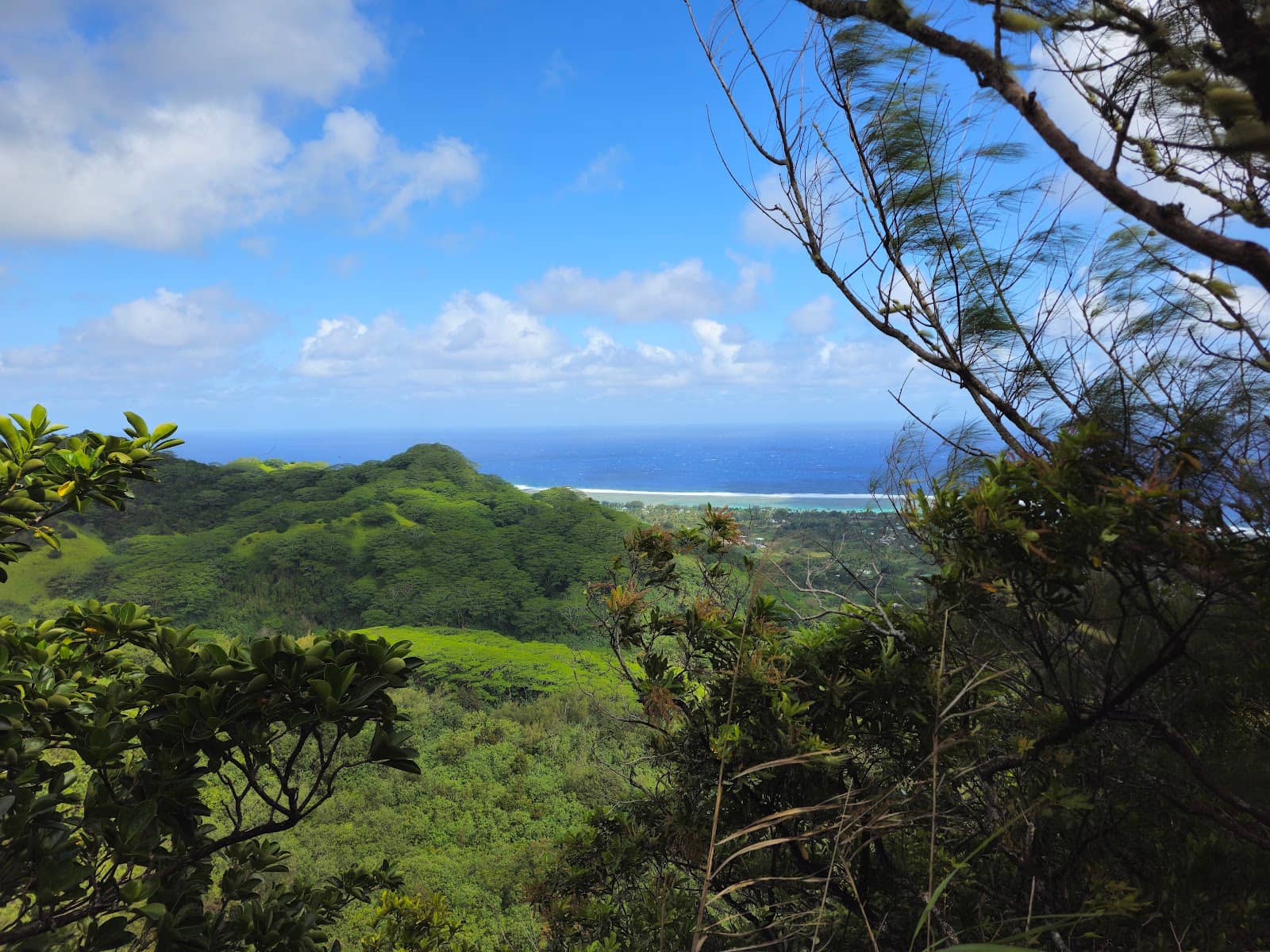 Rock Scrambling Challenge