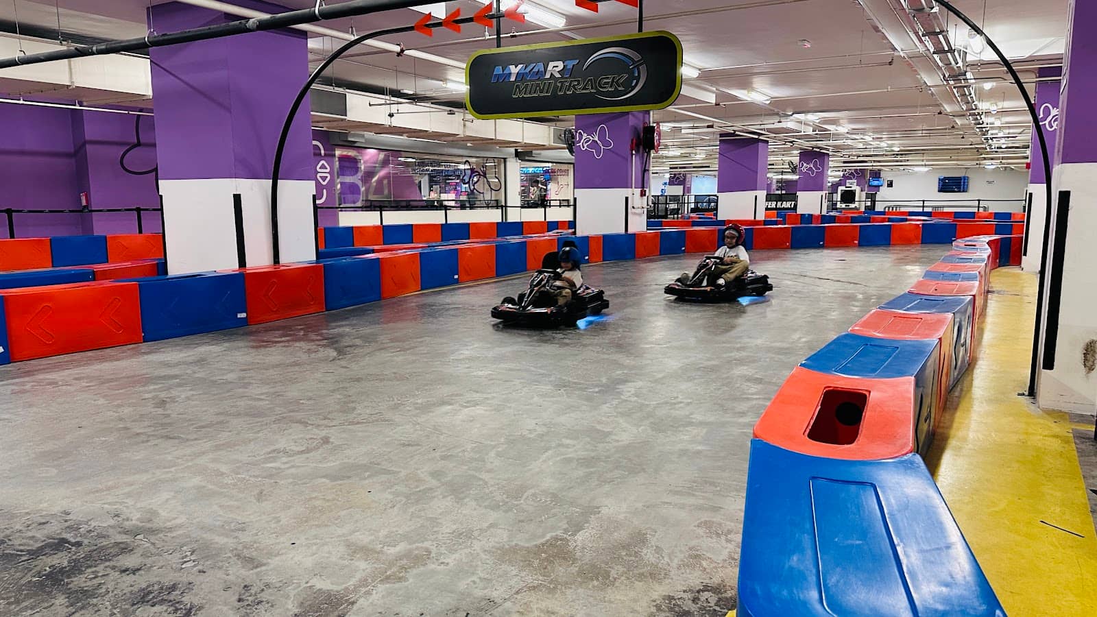 Variety of Karts Available