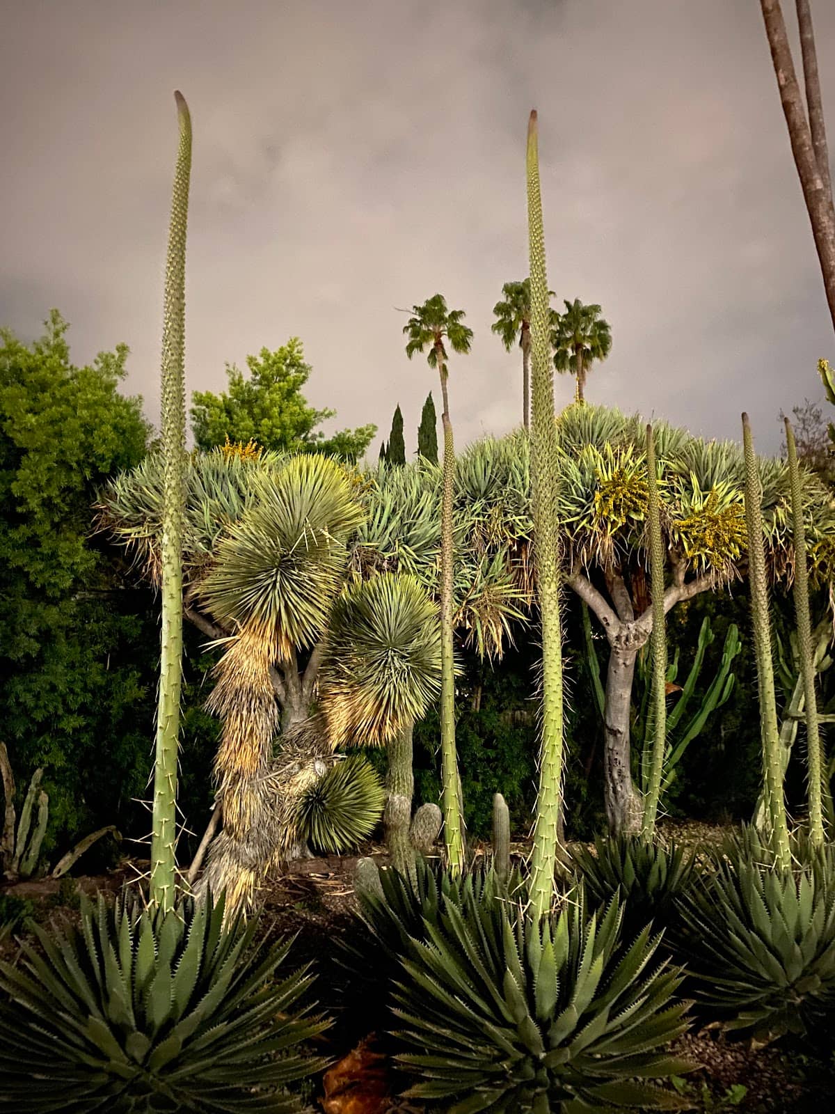 Iconic Beverly Hills Sign