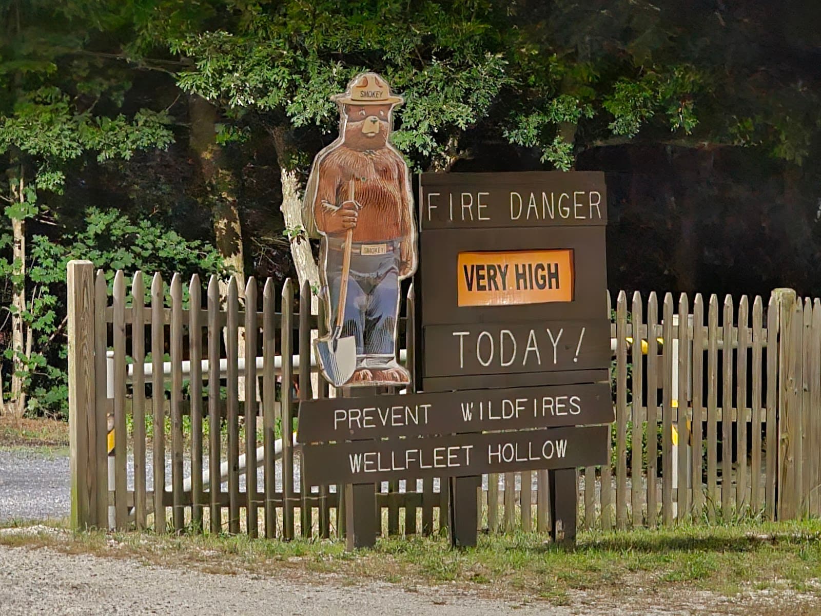 Wellfleet Hollow State Campground - Image 1