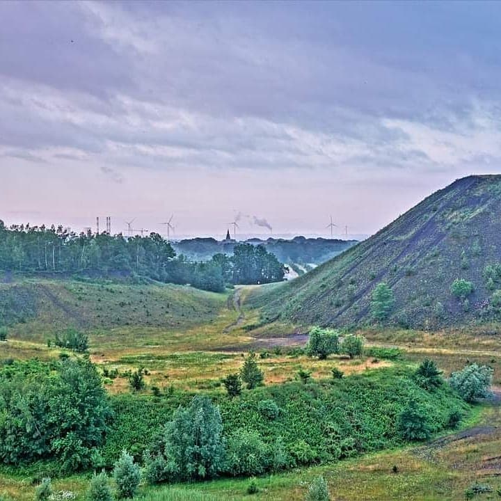 Winterslag - Image 1