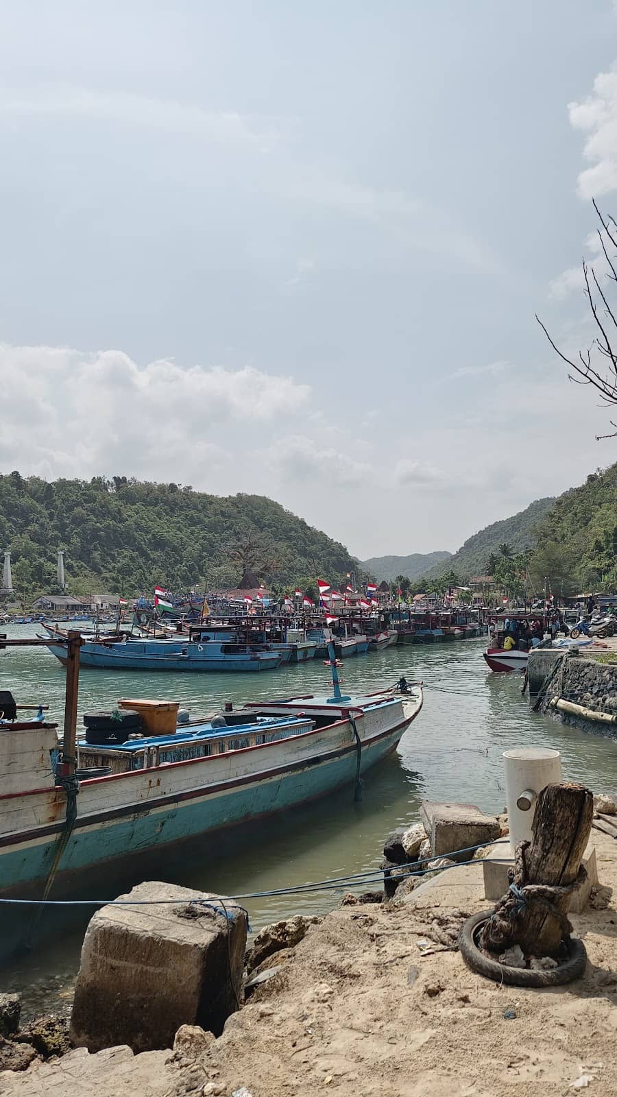 Scenic Coastal Drive