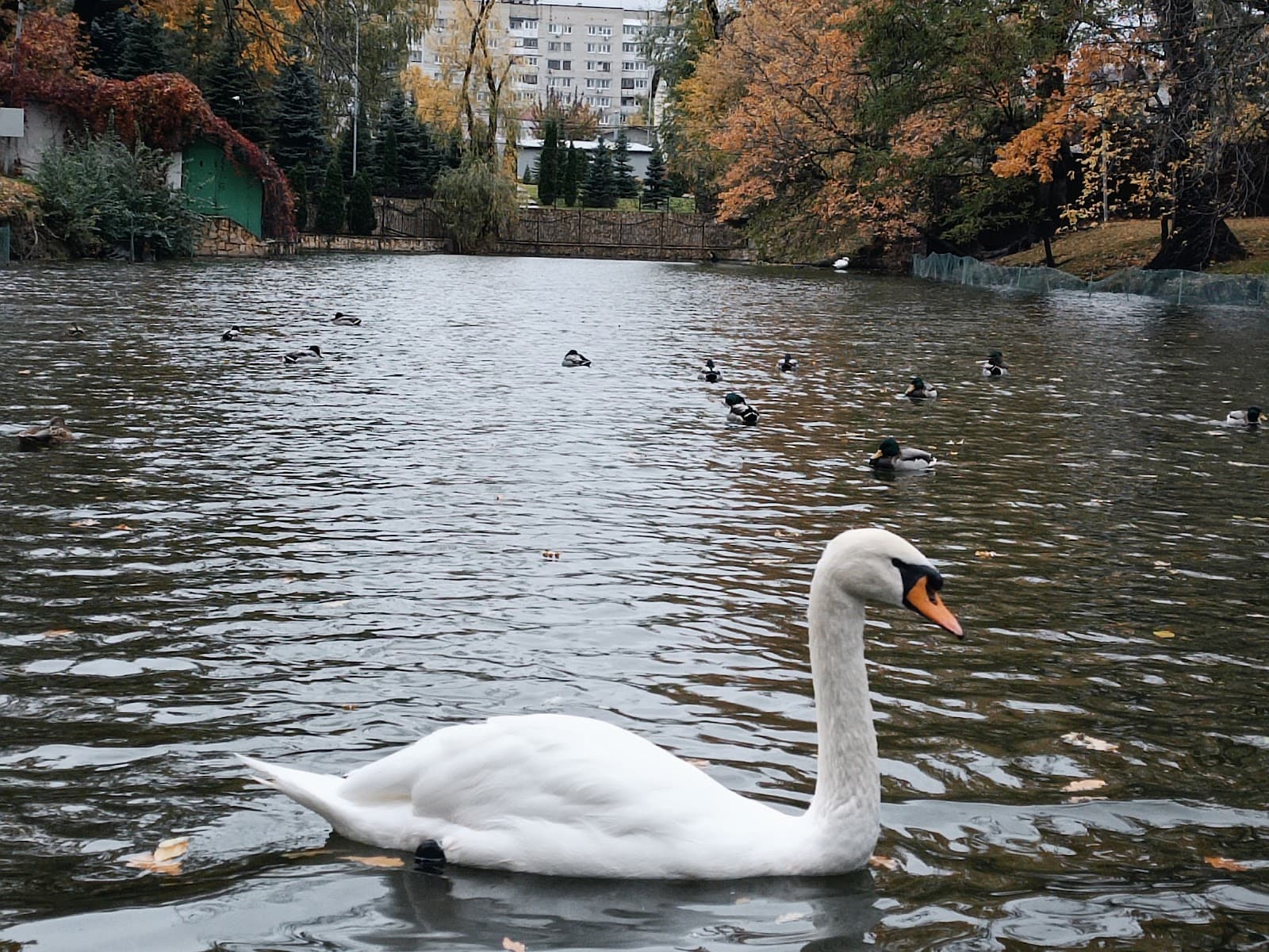 Gorky City Park - Image 1