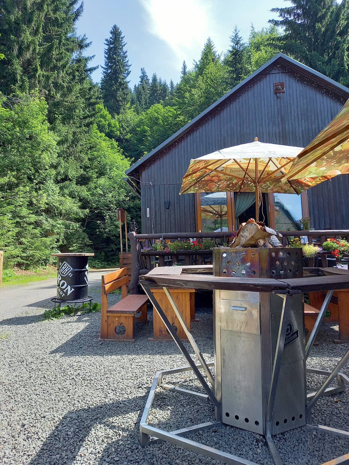 Cozy Mountain Ambiance