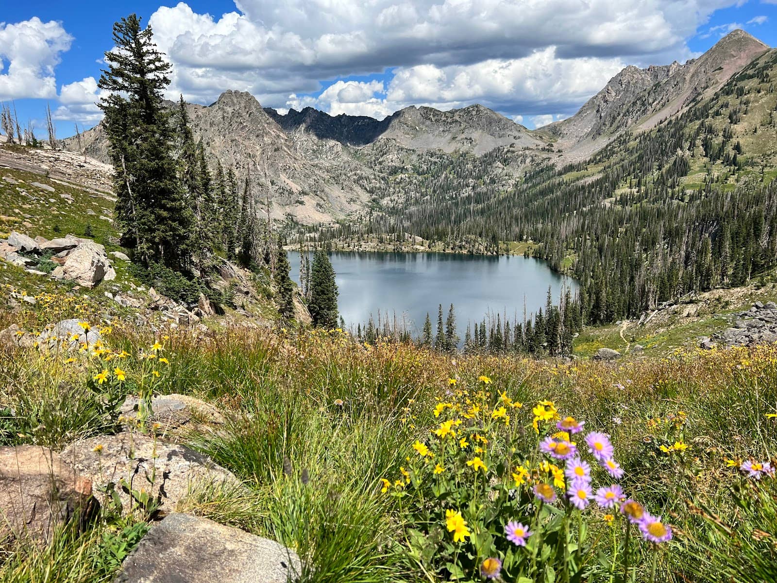 Three Island Lake Reflections