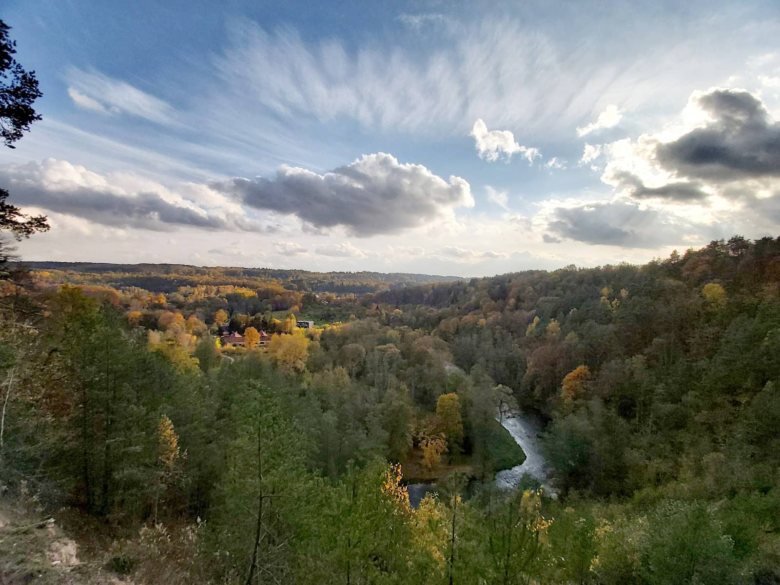Forest and Meadow Trails
