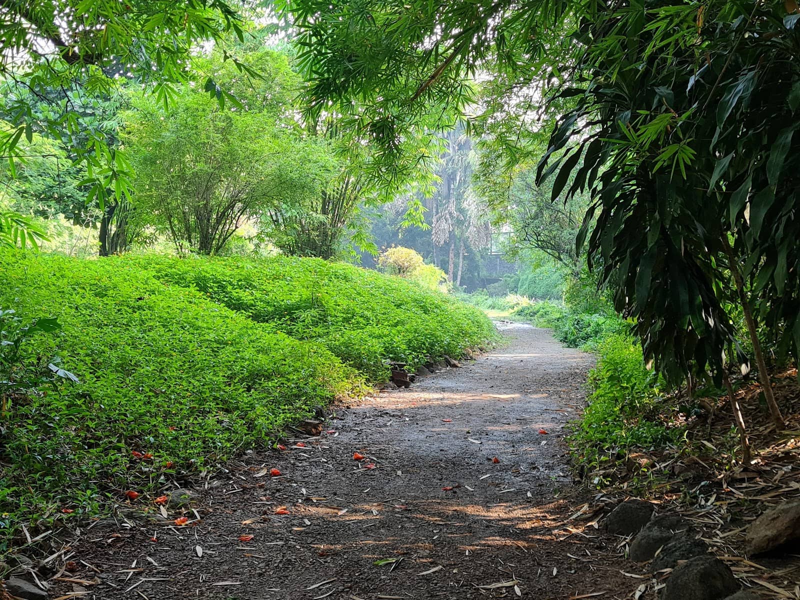 Scenic Water Features
