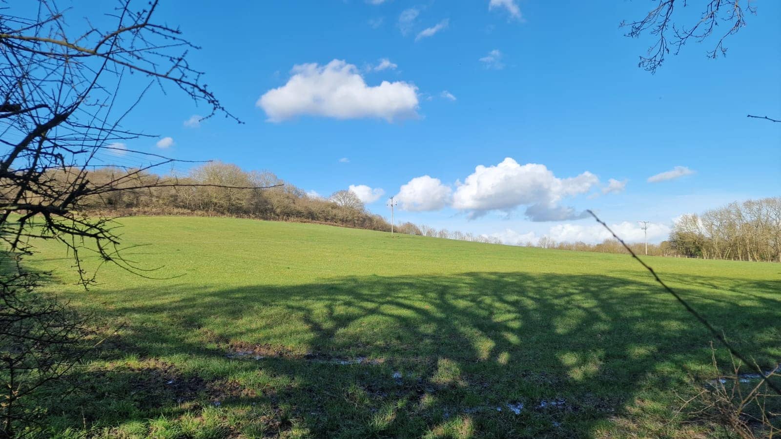 Bar Esteban Spanish Restaurant