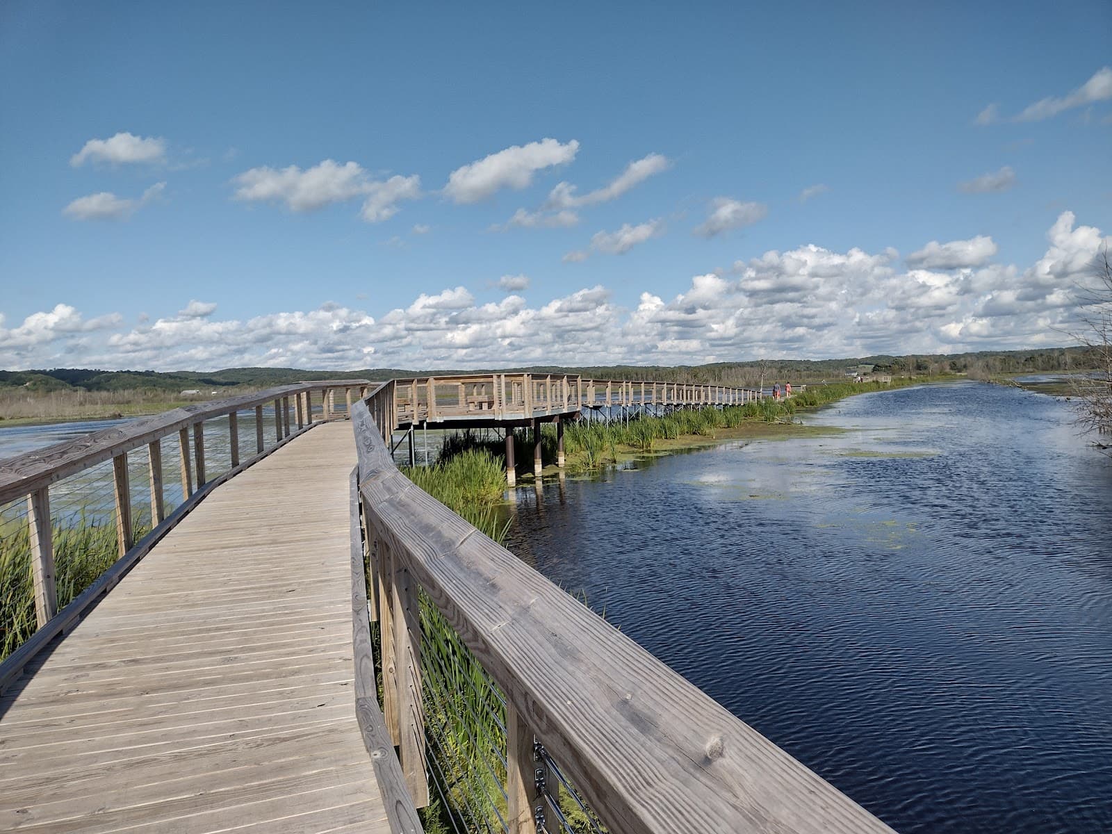 Arcadia Marsh Nature Preserve - Image 1