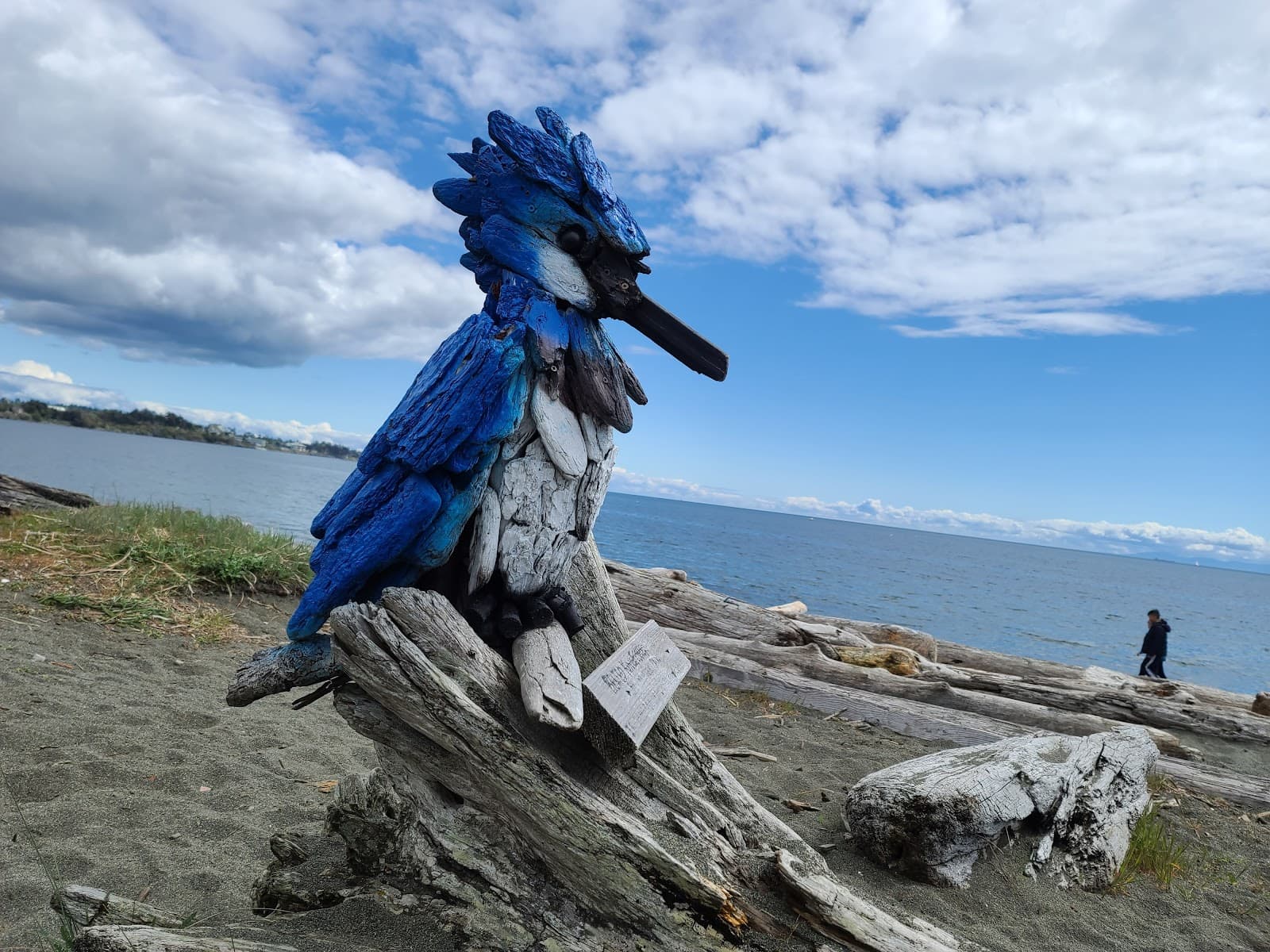 Esquimalt Lagoon Migratory Bird Sanctuary - Image 1