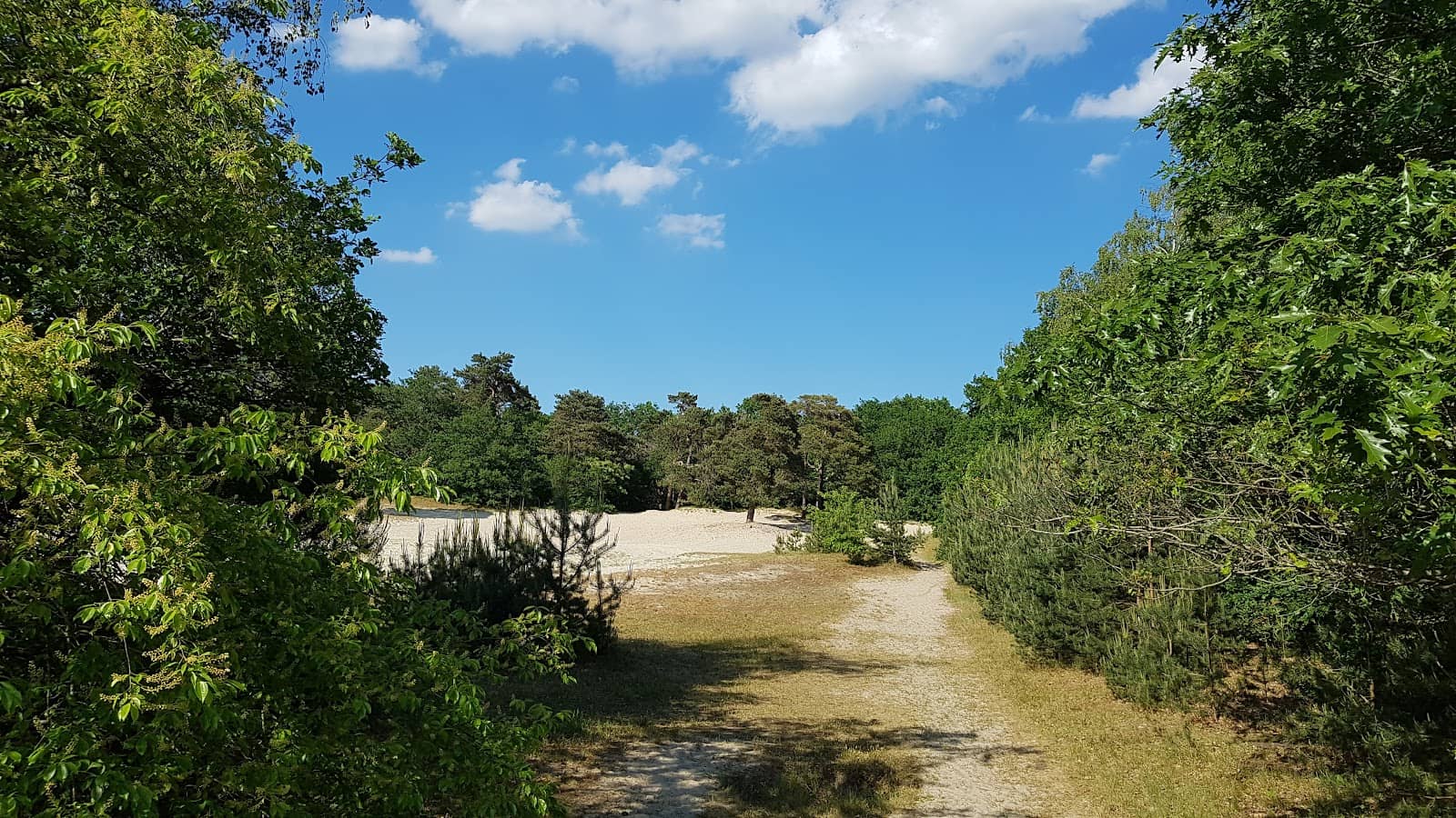 Nature Walks