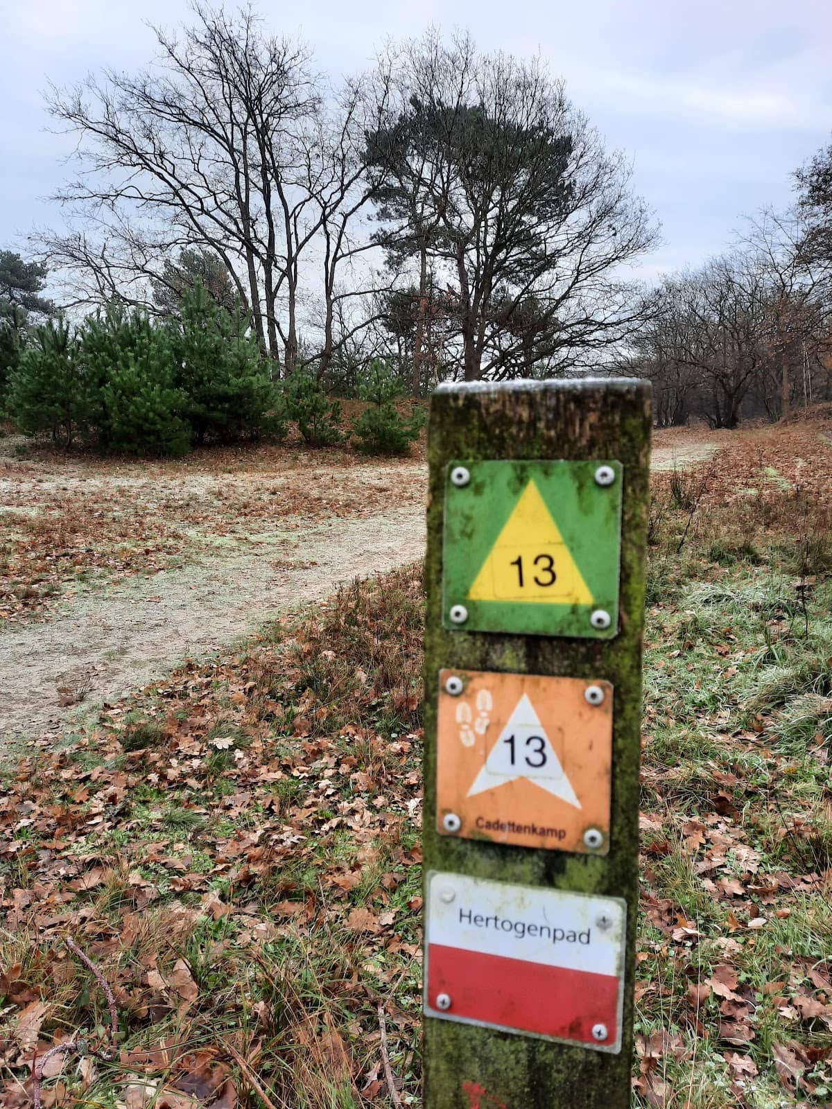 Vertical photo