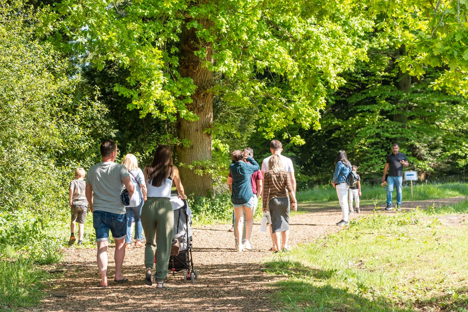 Harcourt Arboretum - Image 1