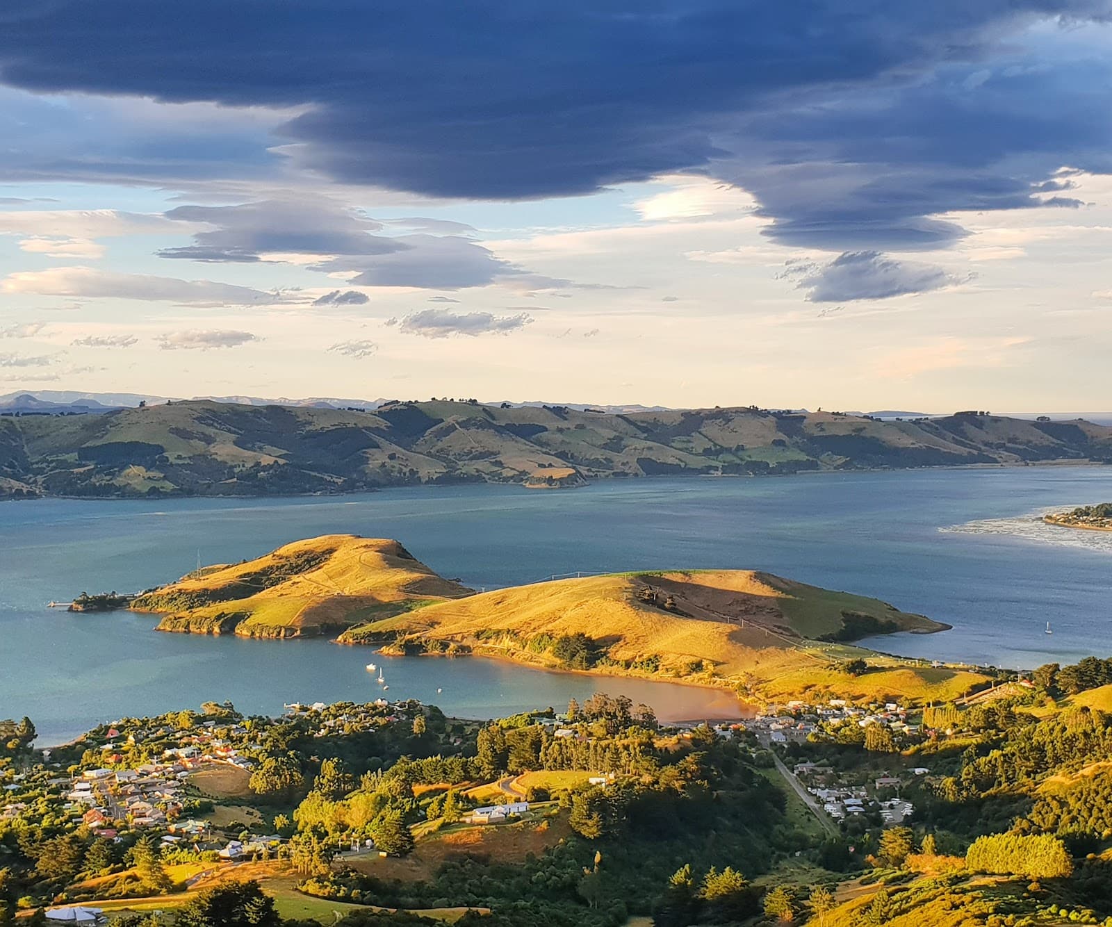 Otago Peninsula Coastal Walk Dunedin - Image 1
