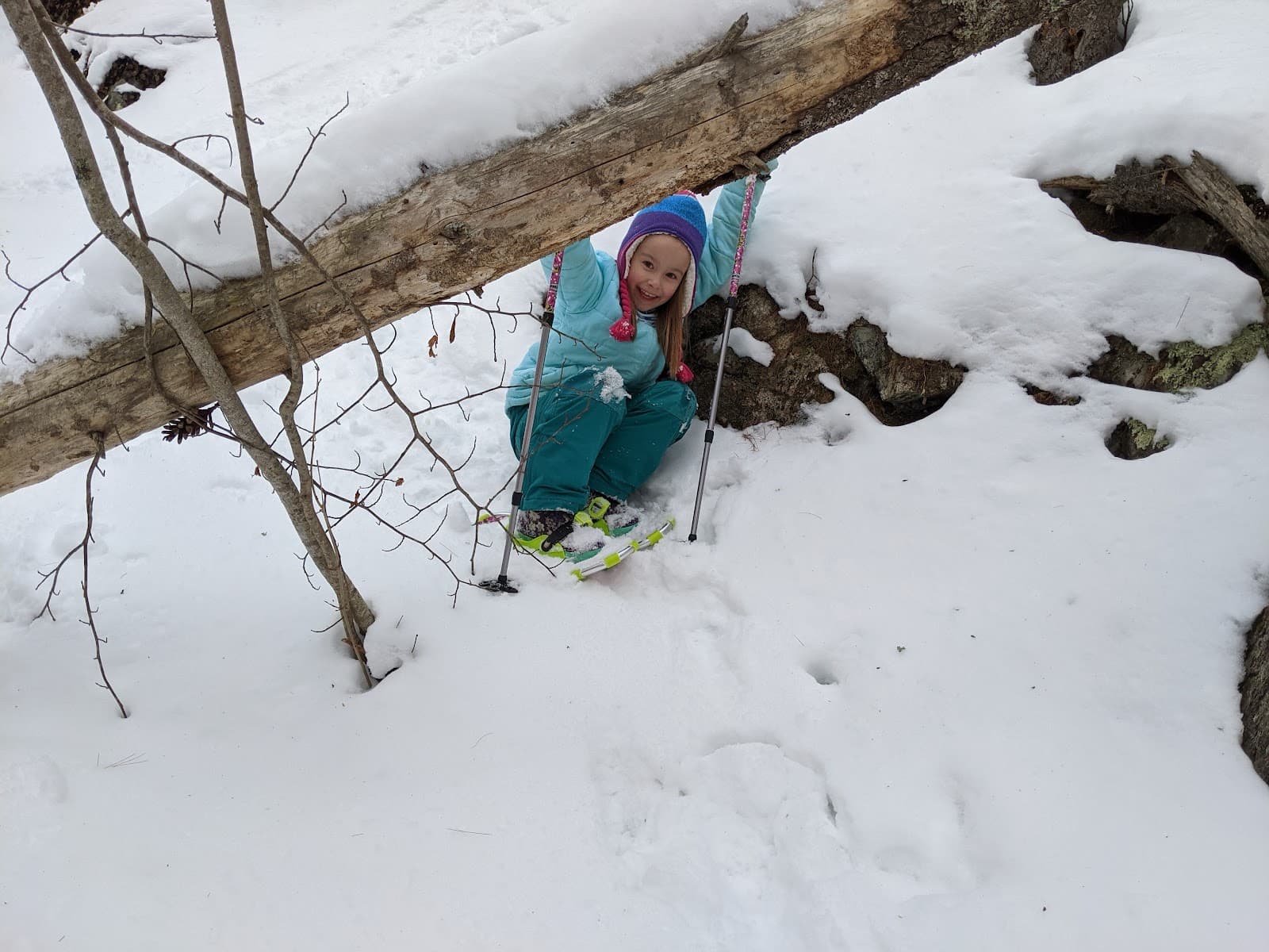 Ogunquit River Estuary - Image 1