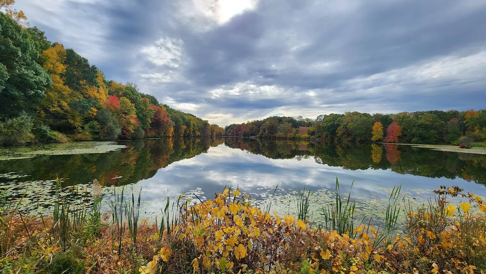 Lakes and Ponds