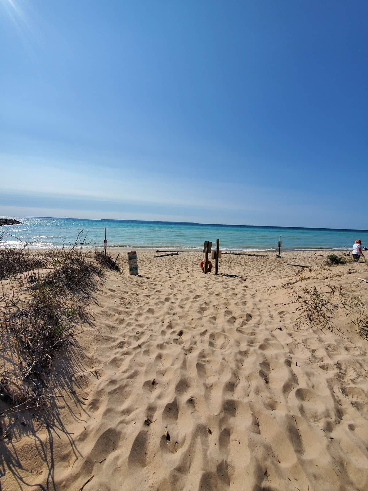 Dog-Friendly Environment