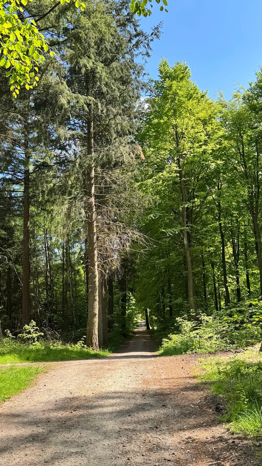 Par Force Hunting Landscape (Hillerød) - Image 1