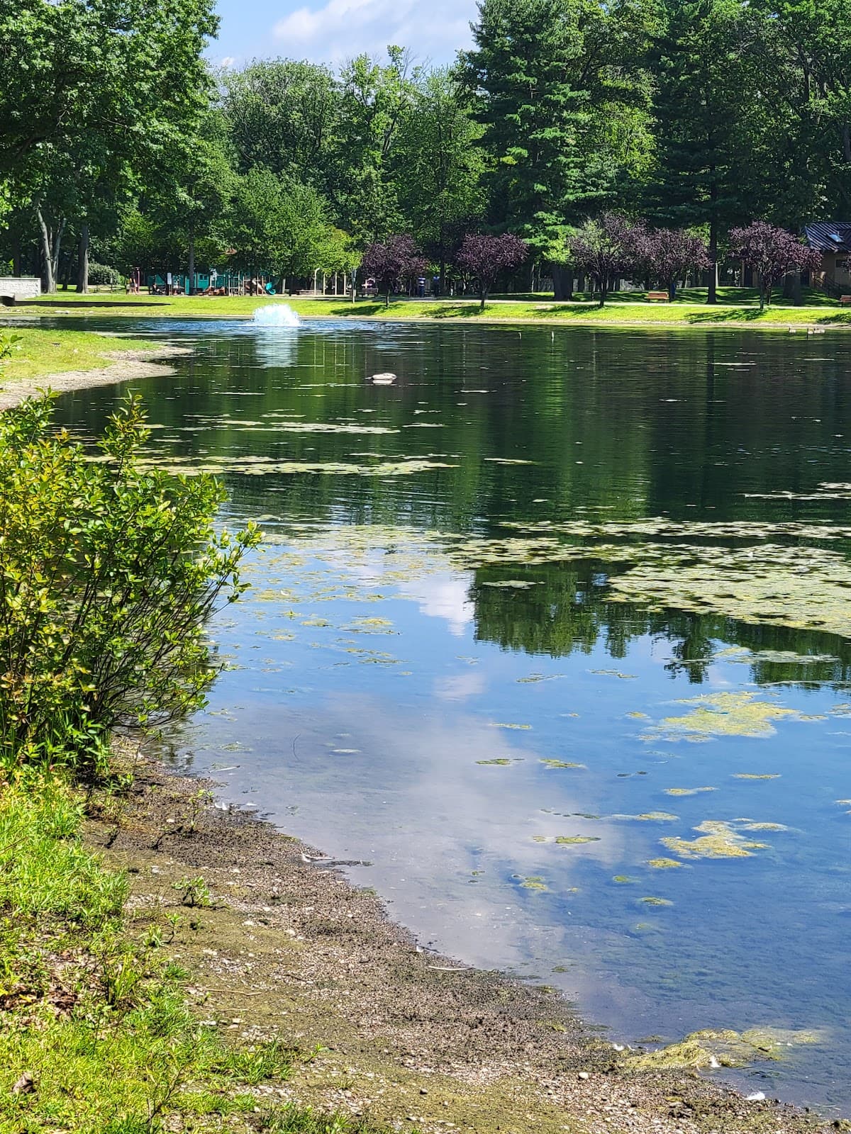 Ridgewood Wild Duck Pond - Image 1
