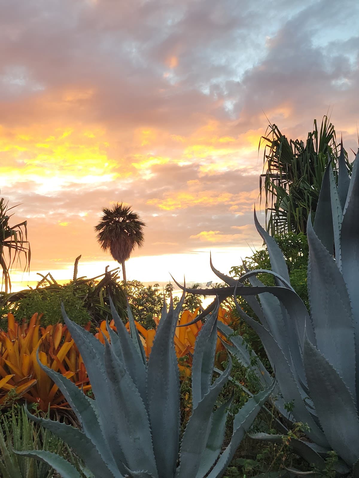 Hawi Historic Town Hawaii - Image 1