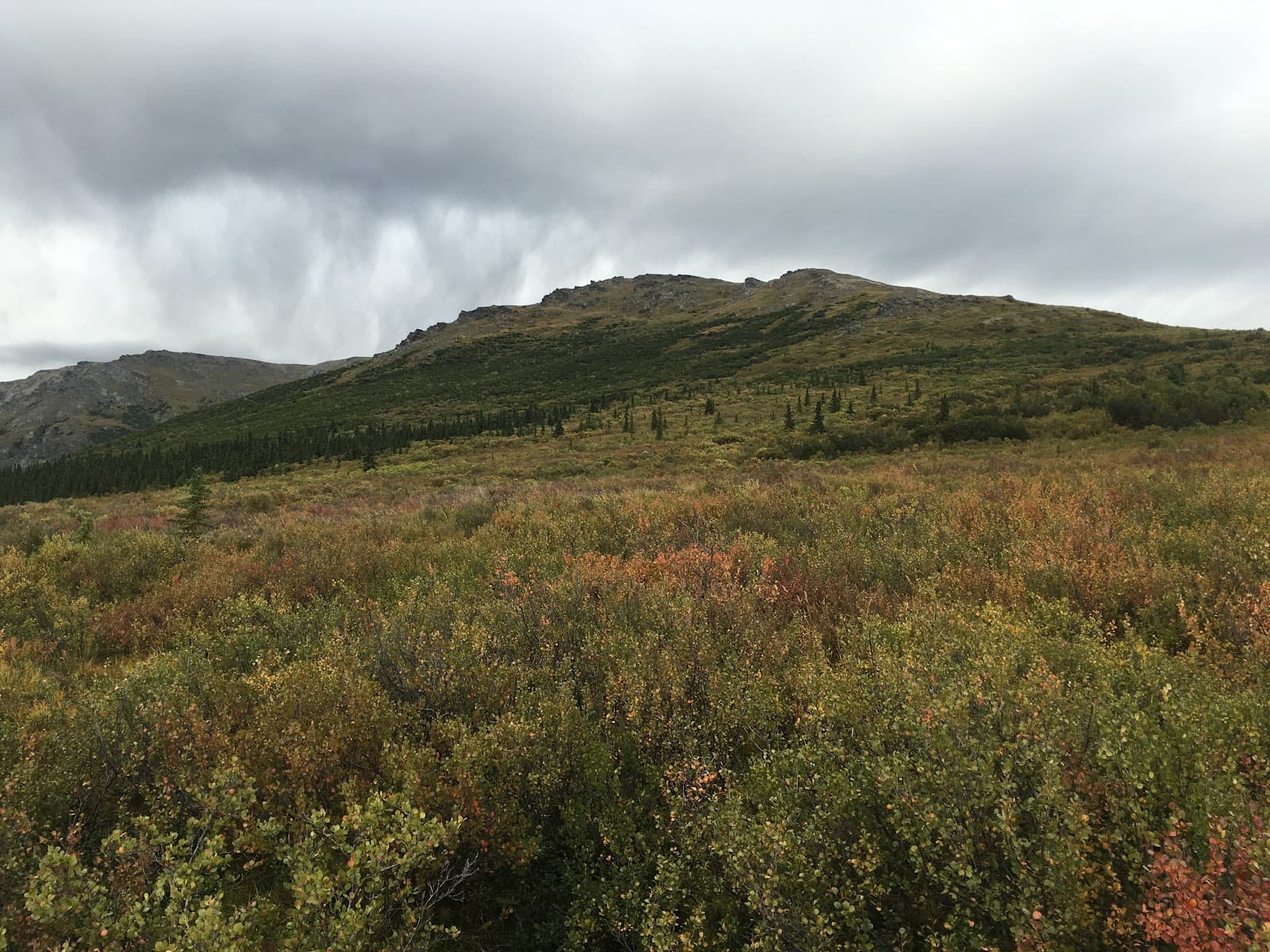 Primrose Ridge - Image 1