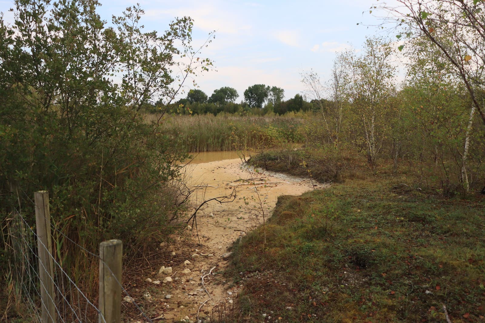 Rudheath Lime Beds Nature Reserve - Image 1