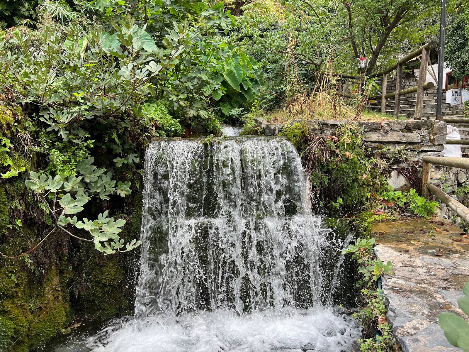 Trout Ponds & Local Flora