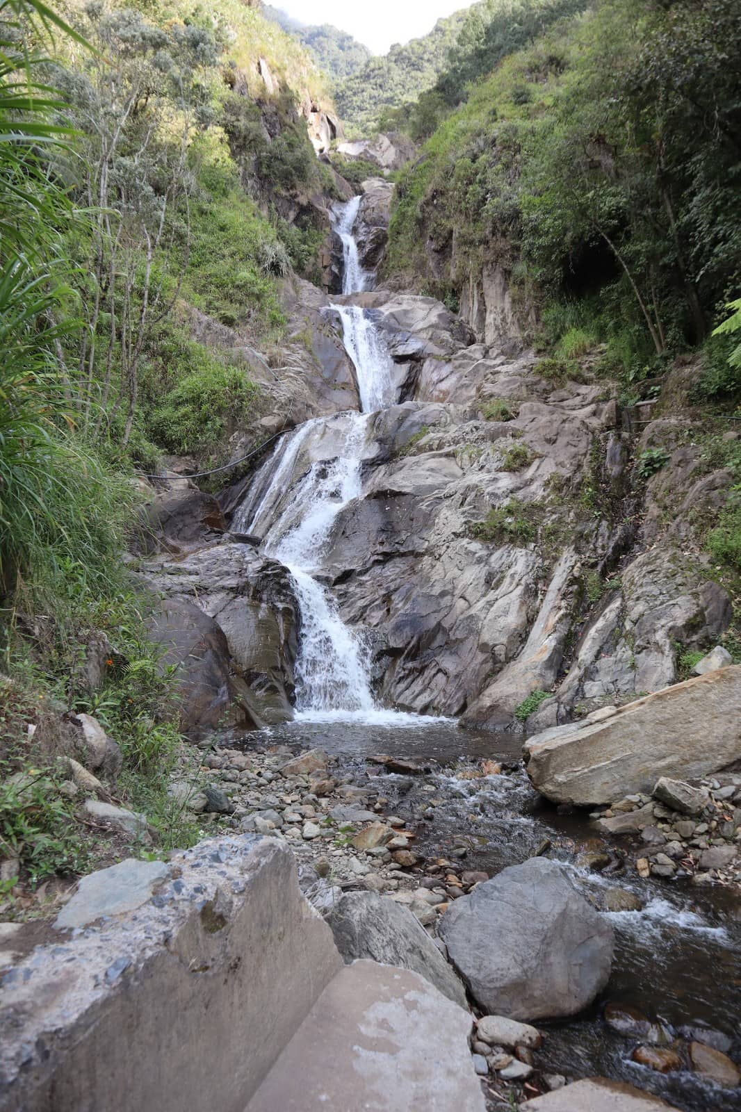 Vertical photo