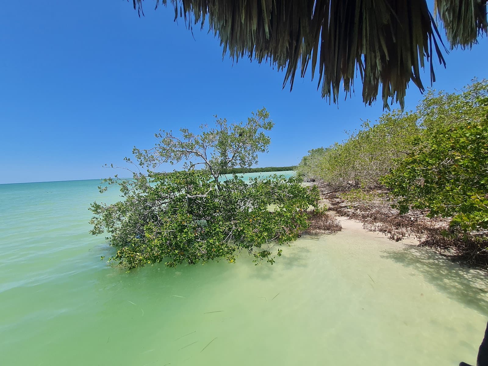 Cozumel Island - Image 1