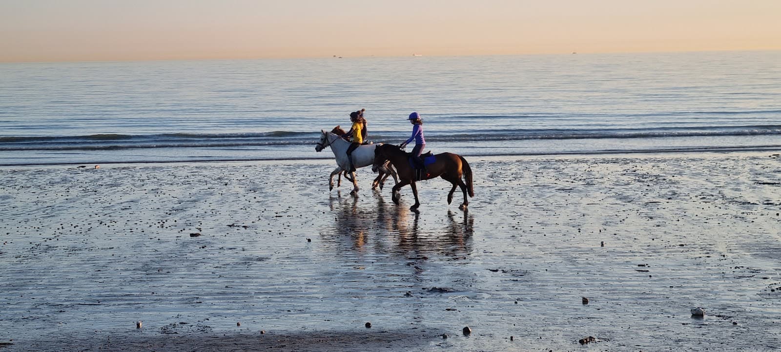 Bracklesham Bay - Image 1