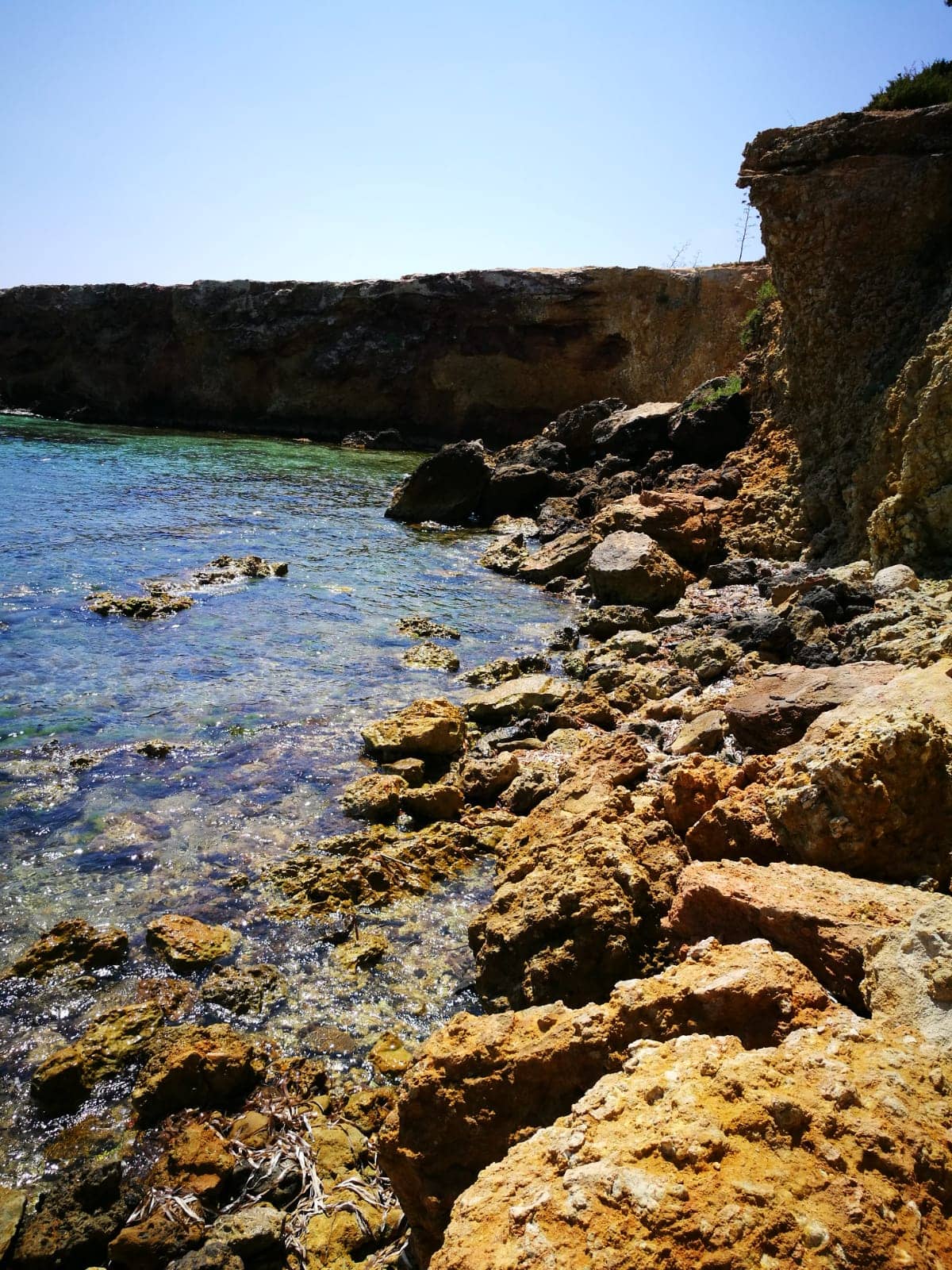 Vertical photo
