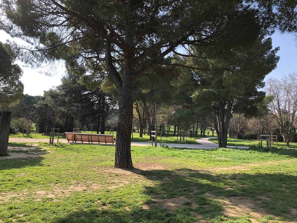 Open Green Spaces